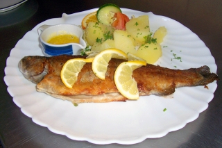 Bild 12: Fischgericht des Hotels